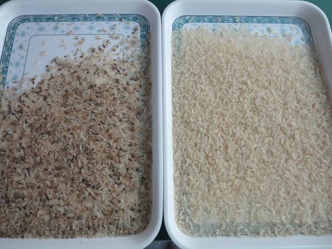 Classificador da cor do arroz do CCD, máquina de classificação da cor, seletor da cor para a grão, cereal, trigo, milho, amendoim,